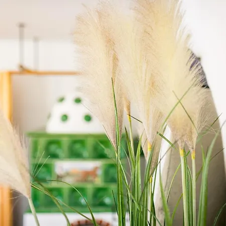 Casa de Férias Wiesengut Famous Areas Around Us, 10 Min To Salzburg, Mountainview