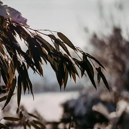Wiesengut Famous Areas Around Us, 10 Min To Salzburg, Mountainview