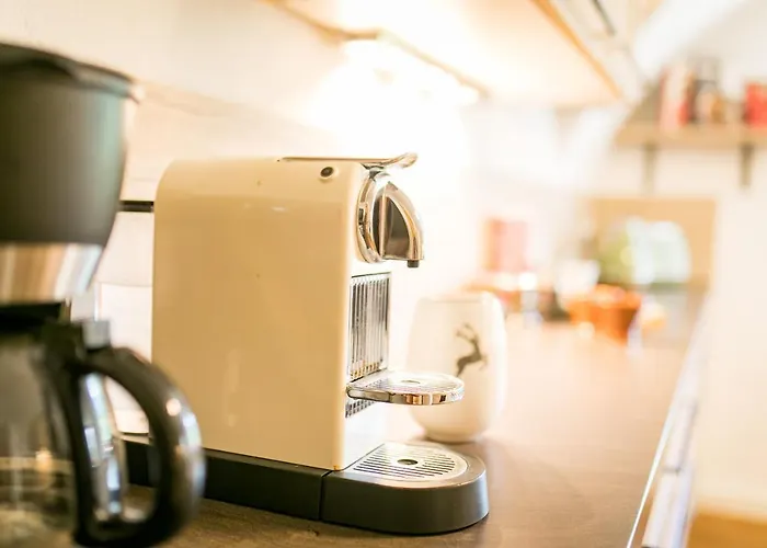 Wiesengut Famous Areas Around Us, 10 Min To Salzburg, Mountainview Tatil Evi