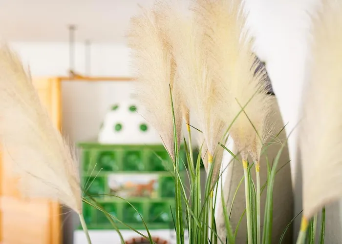 Tatil Evi Wiesengut Famous Areas Around Us, 10 Min To Salzburg, Mountainview