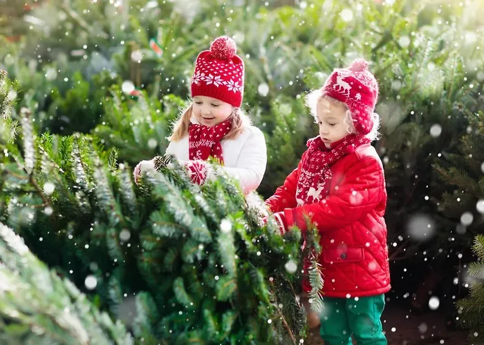 Wiesengut Famous Areas Around Us, 10 Min To Salzburg, Mountainview Adnet