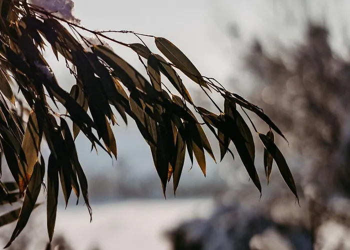 Wiesengut Famous Areas Around Us, 10 Min To Salzburg, Mountainview