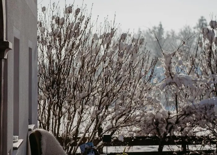 Wiesengut Famous Areas Around Us, 10 Min To Salzburg, Mountainview Tatil Evi Adnet