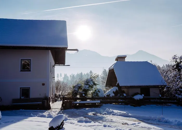 Wiesengut Famous Areas Around Us, 10 Min To Salzburg, Mountainview Tatil Evi Adnet