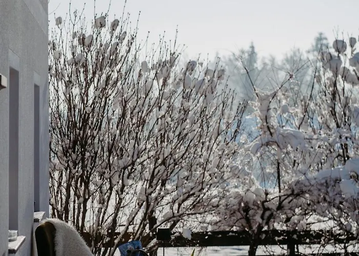 Wiesengut Famous Areas Around Us, 10 Min To Salzburg, Mountainview Holiday home