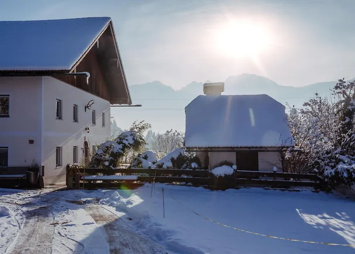 Wiesengut Famous Areas Around Us, 10 Min To Salzburg, Mountainview Tatil Evi *